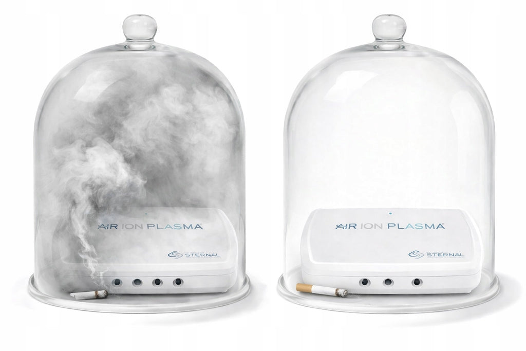 Jonizator powietrza AIR ION PLASMA